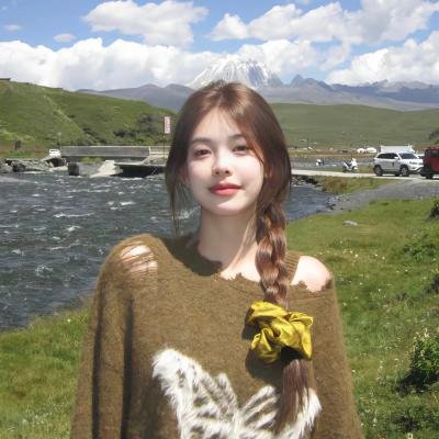特洛伊艾迪